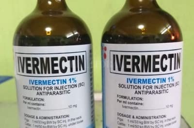 Gobernación entregará ivermectina para “desparasitar”
