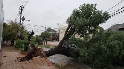 Temporal deja sin energía a 120 mil usuarios de la ANDE