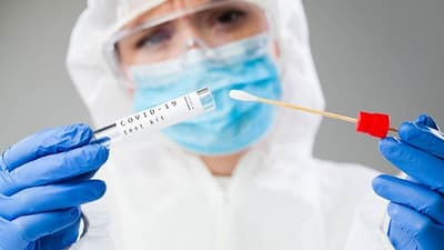 Salud reporta 803 casos positivos y 19 fallecidos por Covid-19