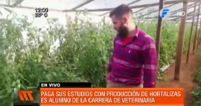 Joven paga sus estudios sembrando hortalizas en Misiones