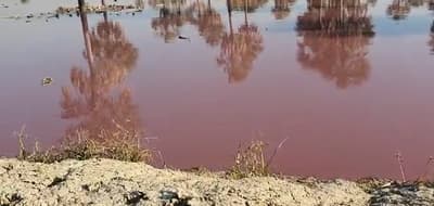 Fiscalía acude a curtiembre tras denuncia de cauce teñido de rojo