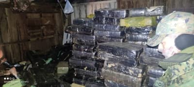 Incautan más de seis toneladas de marihuana en Coronel Bogado