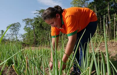 Fundación invita a participar de actividades relacionadas a agricultura familiar local