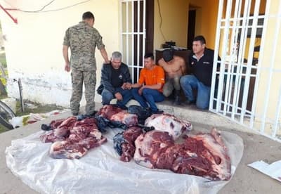 Detienen a cuatro hombres por abigeato en Caaguazú