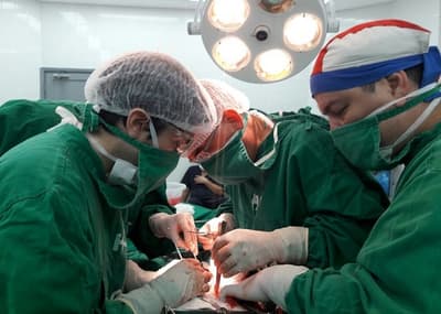 Trasplantes registraron un repunte este 2021, según el INAT