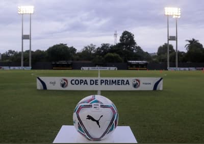 Investigan robo de pelotas de sede de la APF