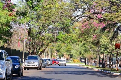 Pronostican domingo caluroso con lluvias 