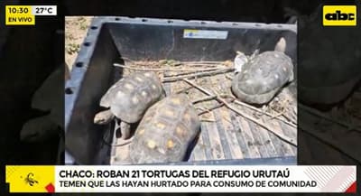 Denuncian robo de 21 tortugas del Refugio Urutaú