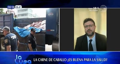 La carne equina tiene menos grasa y se digiere más rápido, según nutricionista 