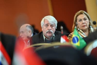 Cruce de alto voltaje entre parlasurianos paraguayos