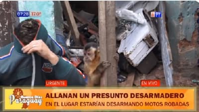 Allanan desarmadero de motos en San Antonio y detienen a nueve personas