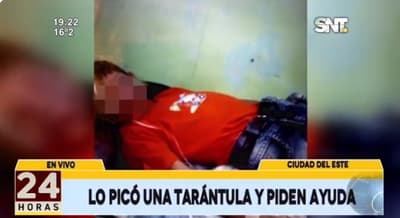 Padres del niño que fue picado por una tarántula piden ayuda para comprar antídoto