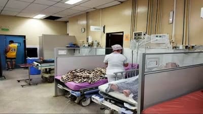 Se registra estrepitoso descenso de dengue y chikungunya