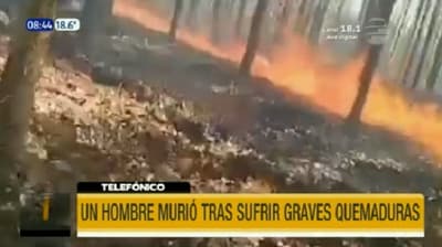 Hombre muere por graves quemaduras al tratar de salvar su eucaliptal en Concepción