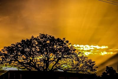 Anuncian un martes con calor, lluvia y descenso de temperatura