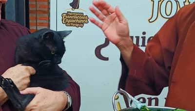 Capuchinos bendicen a mascotas en el Día de San Francisco de Asís