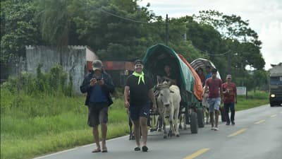 Operativo Caacupé 2023: Novedades en circulación y restricciones