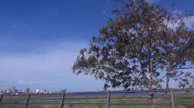Pronóstico del clima anticipa un viernes soleado y caluroso en gran parte del país
