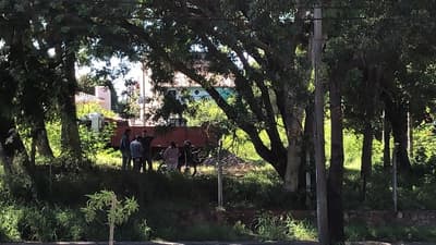 Comitiva fiscal investiga tala de árboles en “bosque” de San Vicente
