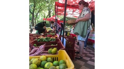 Feria agroecológica y artesanal combina solidaridad y sabores