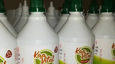 Alerta sanitaria: INAN amplía retiro de edulcorante Ka'a Vital por contaminación con hongos