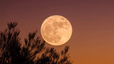 Luna llena deslumbrará esta noche tras días de lluvia