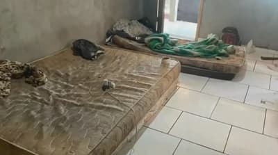 Rescatan a nueve paraguayos esclavizados en plantación brasileña