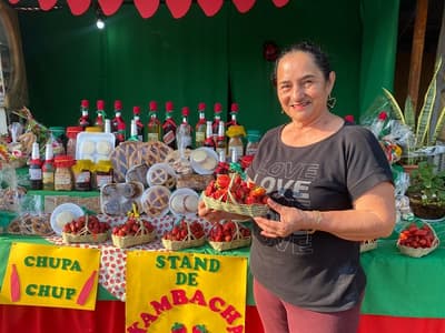 Frutillas: Dulce éxito de la agricultura local