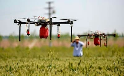 Ingenieros agrónomos celebran su día con múltiples actividades