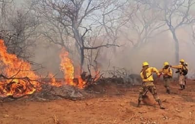 Infona denunciará ante la Fiscalía origen de incendio en el Chaco