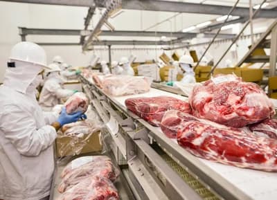 Carnes paraguayas: Récord de exportaciones y nuevos mercados