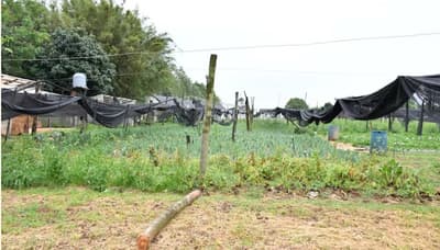 Temporal causa graves daños a productores en Santa Rosa, Misiones