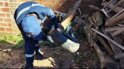 Incremento del dengue: 60 nuevos casos