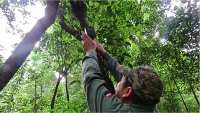 IA impulsa conservación en la Reserva Tapytá de Caazapá