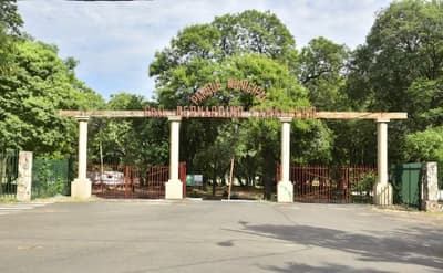 Parque Caballero: Abandono y deterioro amenazan patrimonio capitalino
