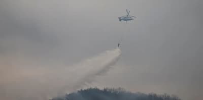 Rebrote de incendios en Corea del Sur tras control parcial