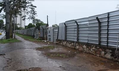 A cinco meses del derribo, Nenecho no explica tala en San Vicente