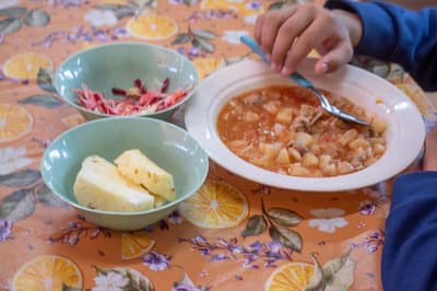 Ejecutivo aprueba millonario aumento para alimentación escolar