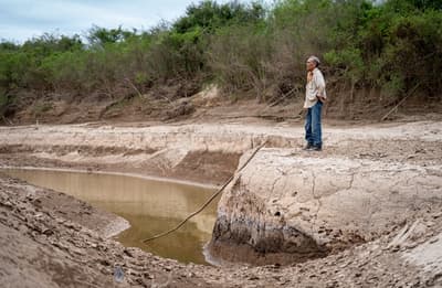 Premio Nacional de Periodismo Ambiental anuncia finalistas