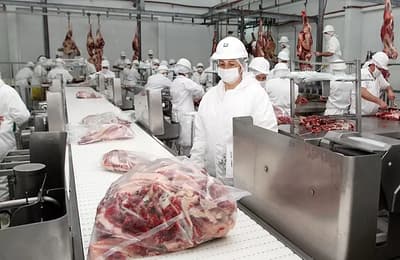 Panamá autoriza importación de carne bovina paraguaya