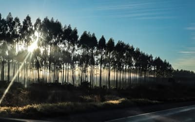 Se espera un jueves con amanecer fresco y tarde cálida