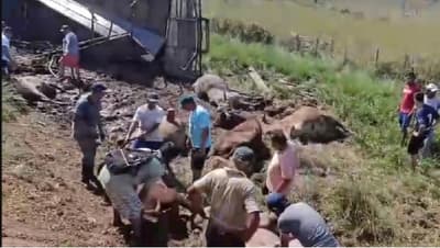 Accidente de camión termina en faena masiva