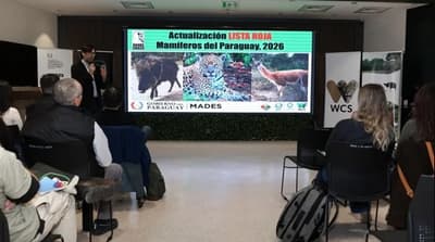 Mades actualiza la lista roja de mamíferos en riesgo