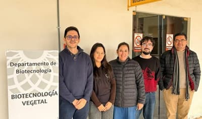 UNA publica estudio genómico sobre hongo del mango