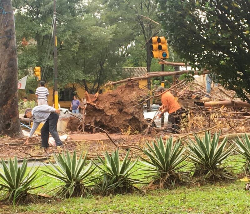 Fuertes ráfagas de viento durante tormenta de ayer, hasta 124 km/h