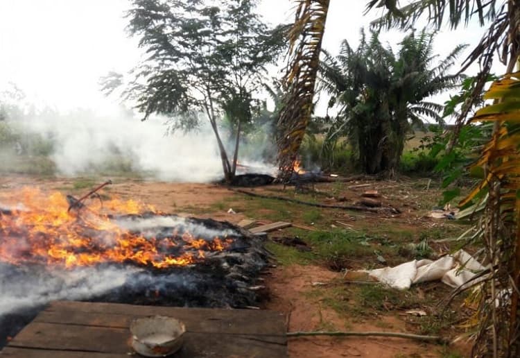 MEC denuncia desalojo de indígenas en Itakyry