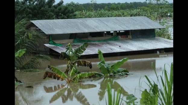 Crecida del río mantiene en zozobra a vendedoras de pescado