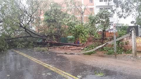 ANDE normaliza servicios de energía tras temporal