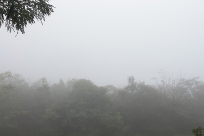 Anuncian fin de semana fresco