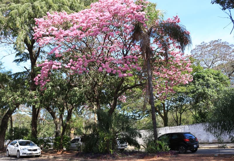 Se espera un fin de semana caluroso